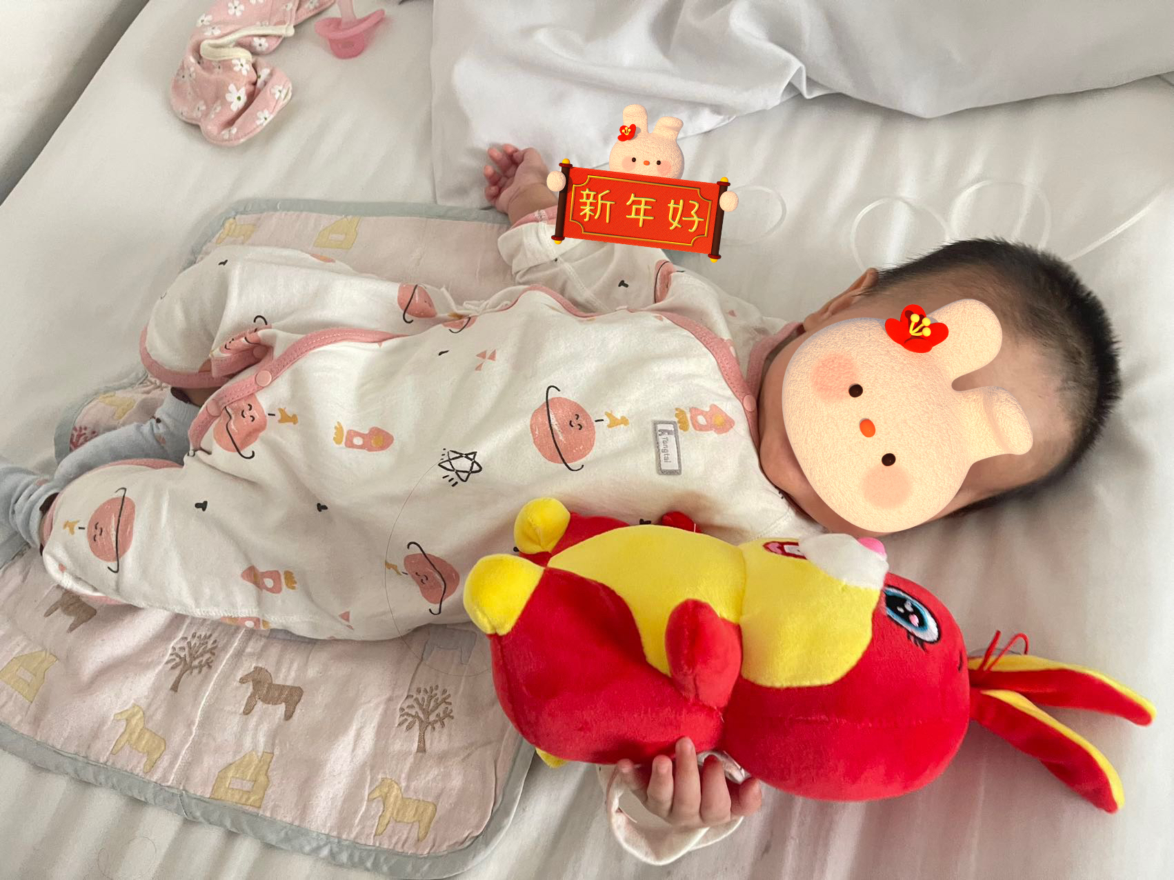 WechatIMG186 WechatIMG186